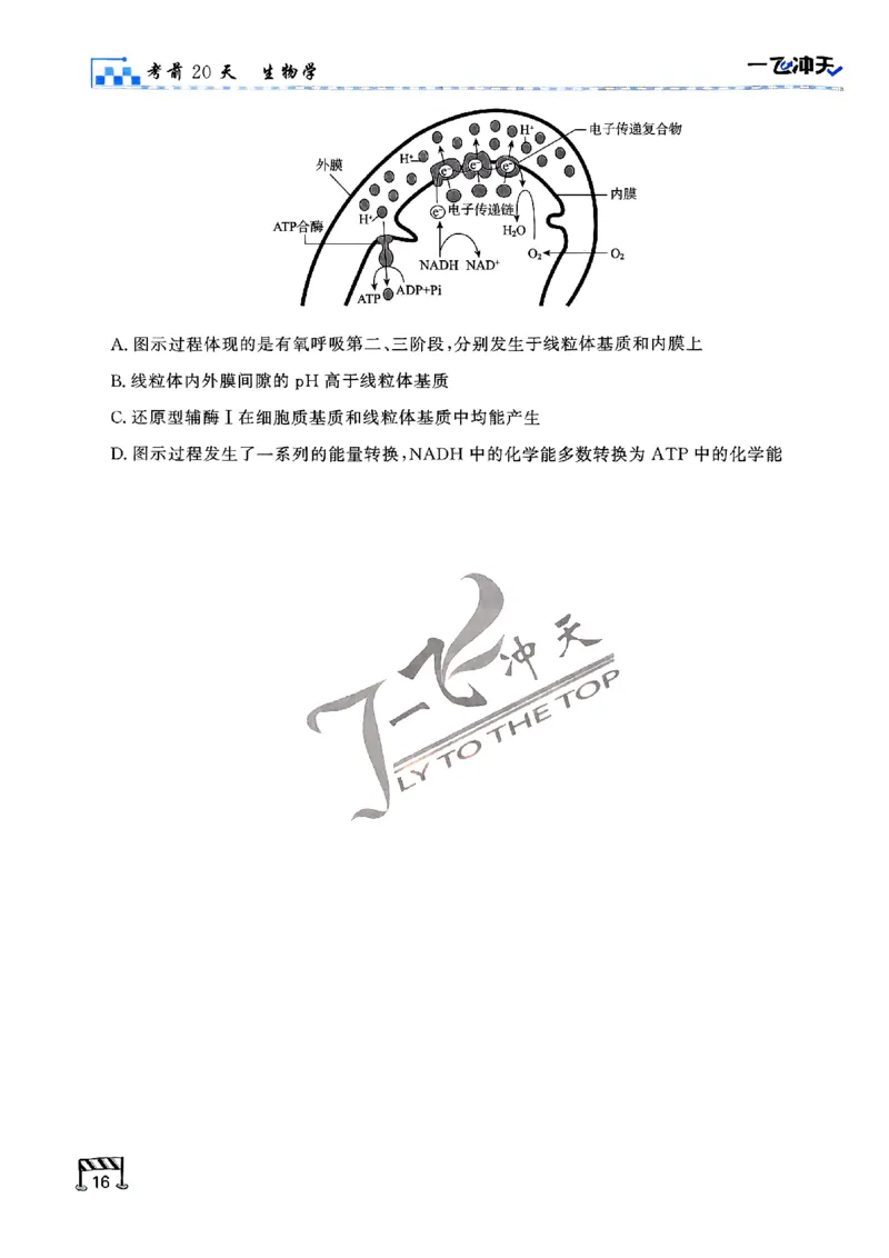 2025《一飞冲天&bull;高考抢分卷》生物考前20天_2025高中教辅（后续还会更新新习题试卷）_《一飞冲天高考抢分卷》2025版