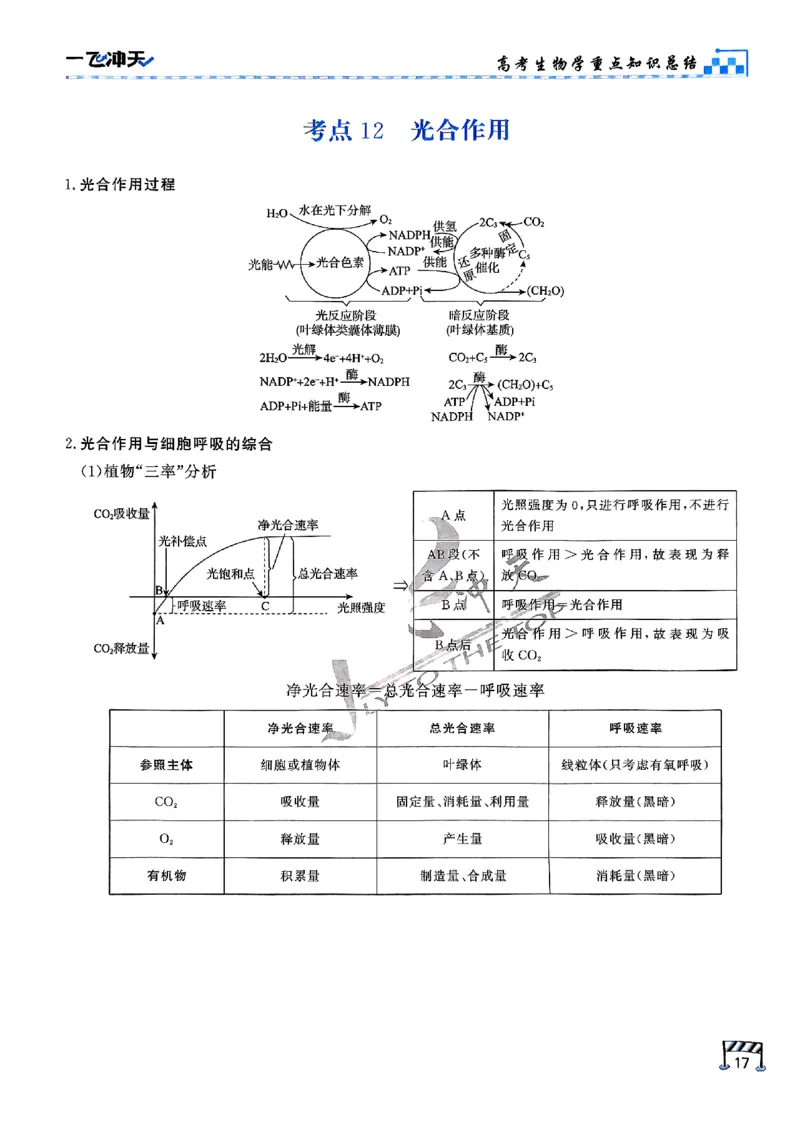 2025《一飞冲天&bull;高考抢分卷》生物考前20天_2025高中教辅（后续还会更新新习题试卷）_《一飞冲天高考抢分卷》2025版