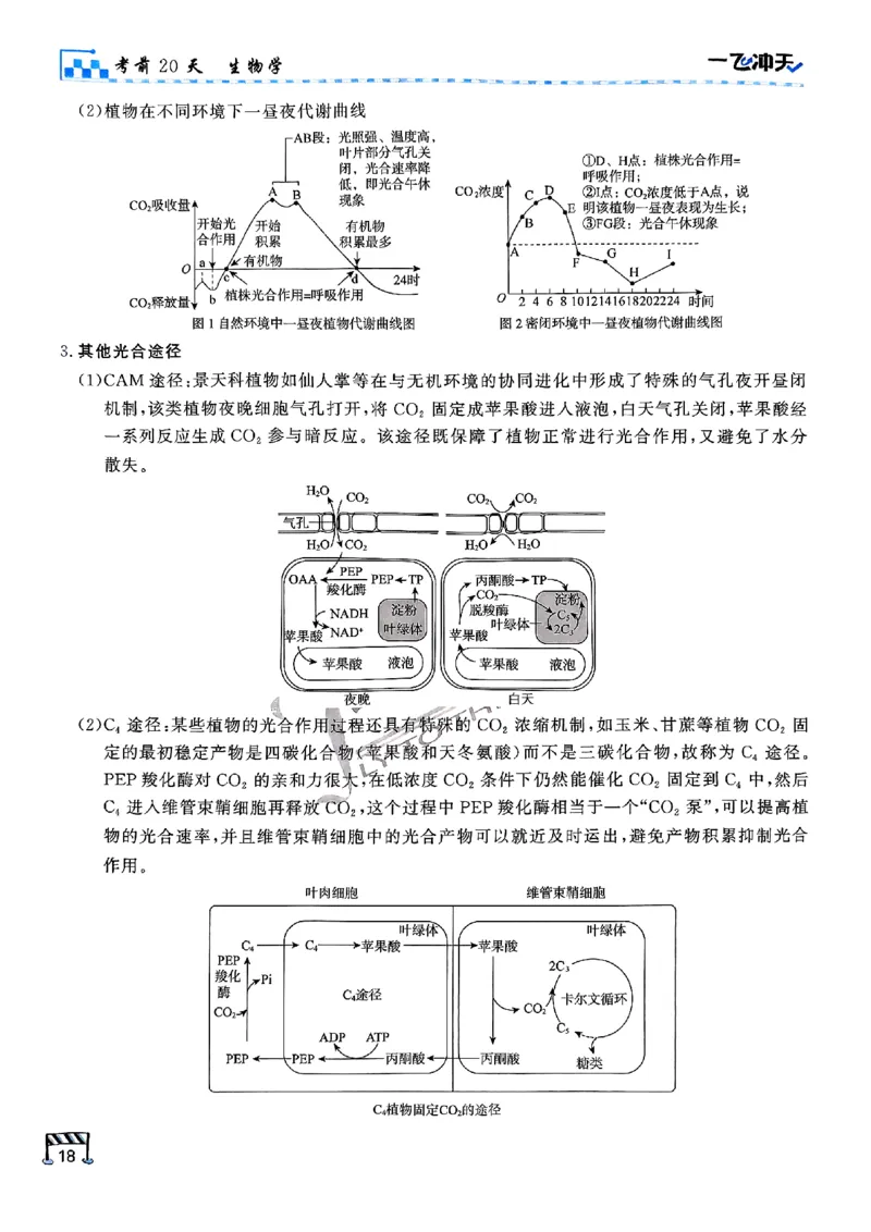 2025《一飞冲天&bull;高考抢分卷》生物考前20天_2025高中教辅（后续还会更新新习题试卷）_《一飞冲天高考抢分卷》2025版