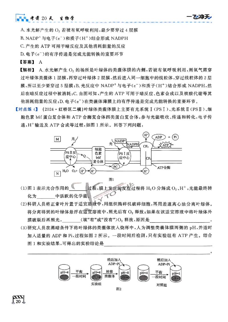 2025《一飞冲天&bull;高考抢分卷》生物考前20天_2025高中教辅（后续还会更新新习题试卷）_《一飞冲天高考抢分卷》2025版