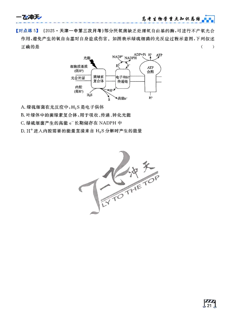 2025《一飞冲天&bull;高考抢分卷》生物考前20天_2025高中教辅（后续还会更新新习题试卷）_《一飞冲天高考抢分卷》2025版