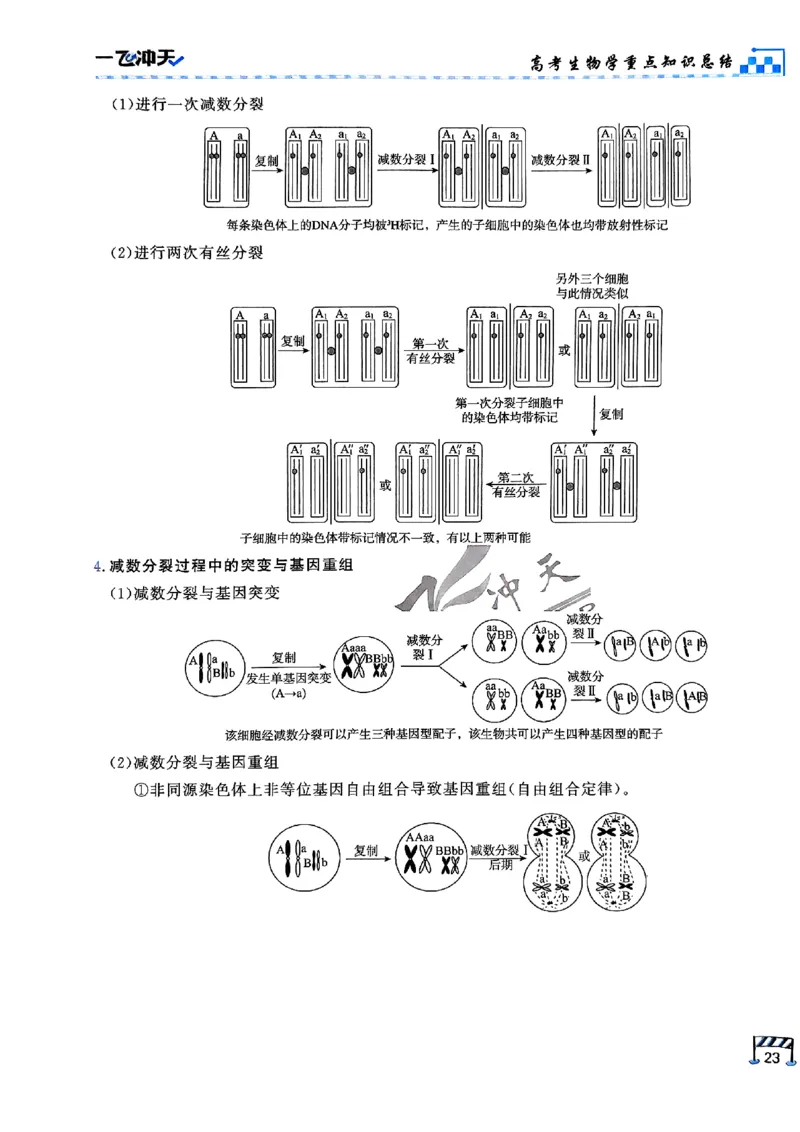 2025《一飞冲天&bull;高考抢分卷》生物考前20天_2025高中教辅（后续还会更新新习题试卷）_《一飞冲天高考抢分卷》2025版