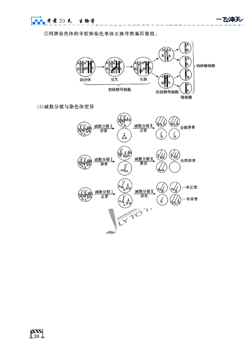 2025《一飞冲天&bull;高考抢分卷》生物考前20天_2025高中教辅（后续还会更新新习题试卷）_《一飞冲天高考抢分卷》2025版