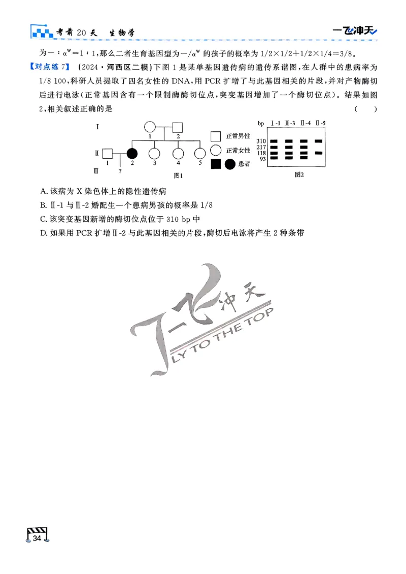 2025《一飞冲天&bull;高考抢分卷》生物考前20天_2025高中教辅（后续还会更新新习题试卷）_《一飞冲天高考抢分卷》2025版