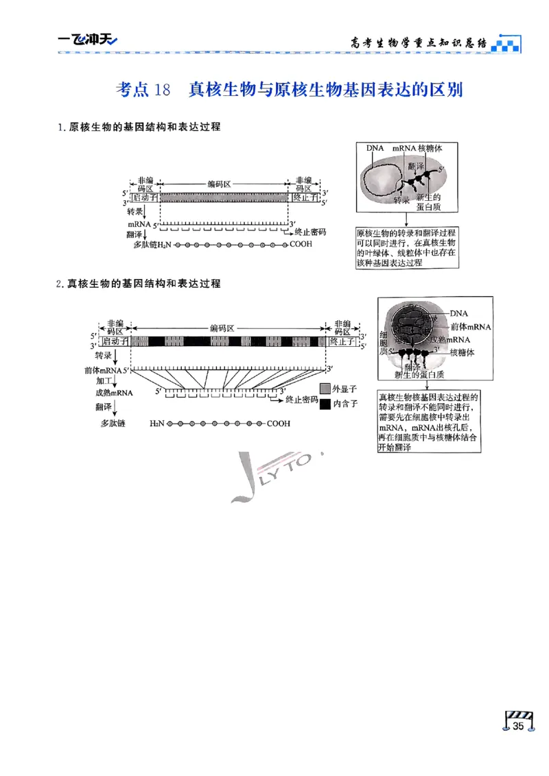2025《一飞冲天&bull;高考抢分卷》生物考前20天_2025高中教辅（后续还会更新新习题试卷）_《一飞冲天高考抢分卷》2025版