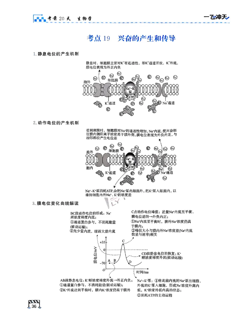 2025《一飞冲天&bull;高考抢分卷》生物考前20天_2025高中教辅（后续还会更新新习题试卷）_《一飞冲天高考抢分卷》2025版