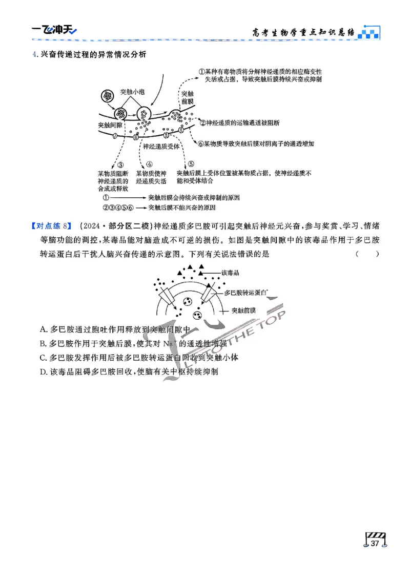 2025《一飞冲天&bull;高考抢分卷》生物考前20天_2025高中教辅（后续还会更新新习题试卷）_《一飞冲天高考抢分卷》2025版