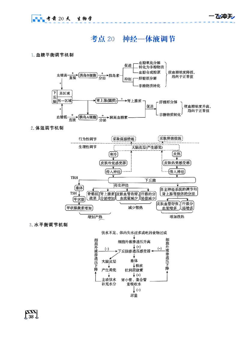 2025《一飞冲天&bull;高考抢分卷》生物考前20天_2025高中教辅（后续还会更新新习题试卷）_《一飞冲天高考抢分卷》2025版