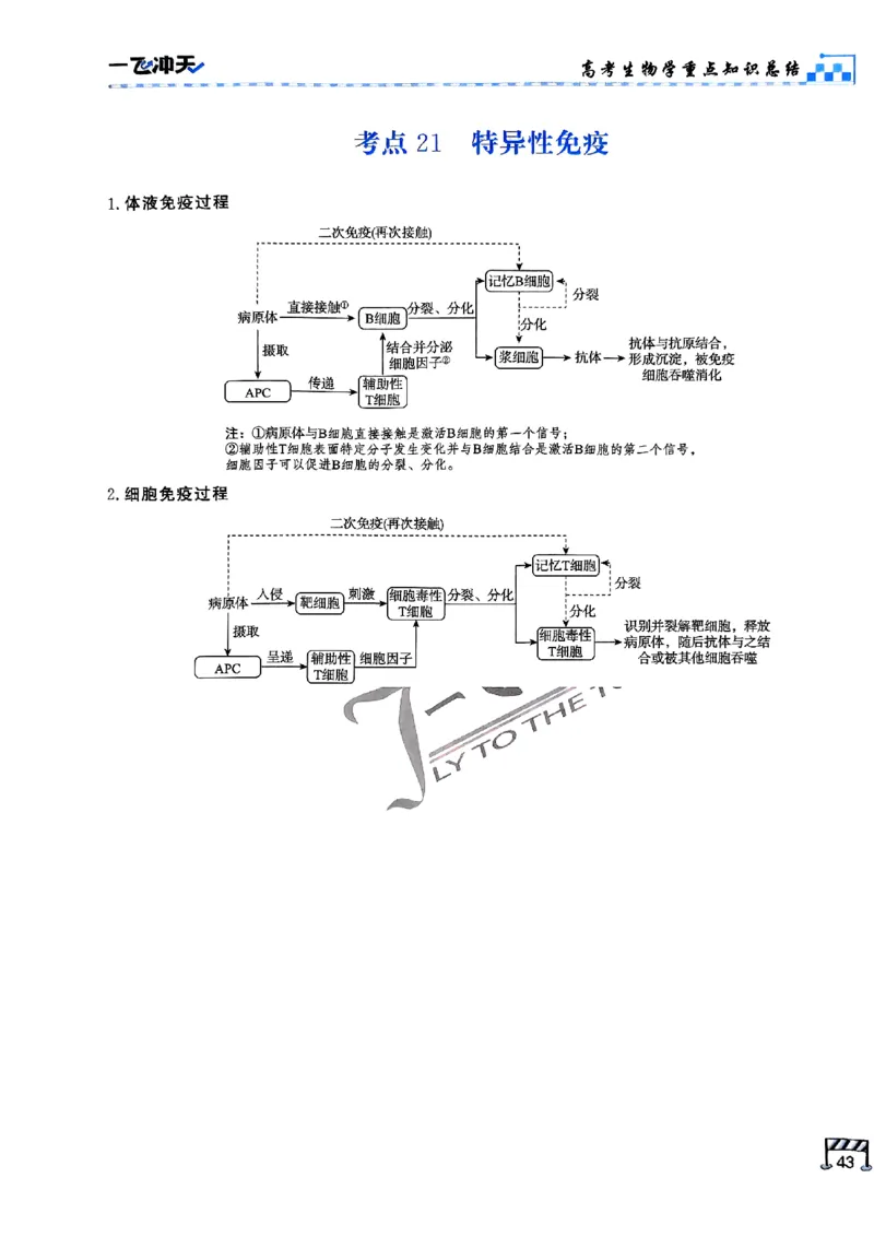 2025《一飞冲天&bull;高考抢分卷》生物考前20天_2025高中教辅（后续还会更新新习题试卷）_《一飞冲天高考抢分卷》2025版