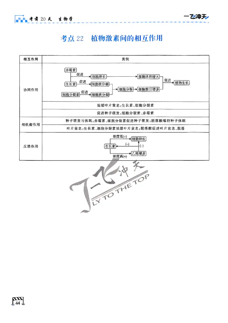 2025《一飞冲天&bull;高考抢分卷》生物考前20天_2025高中教辅（后续还会更新新习题试卷）_《一飞冲天高考抢分卷》2025版