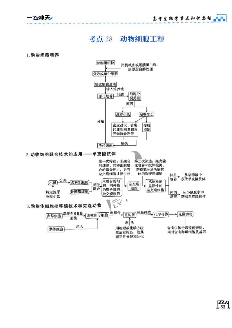 2025《一飞冲天&bull;高考抢分卷》生物考前20天_2025高中教辅（后续还会更新新习题试卷）_《一飞冲天高考抢分卷》2025版