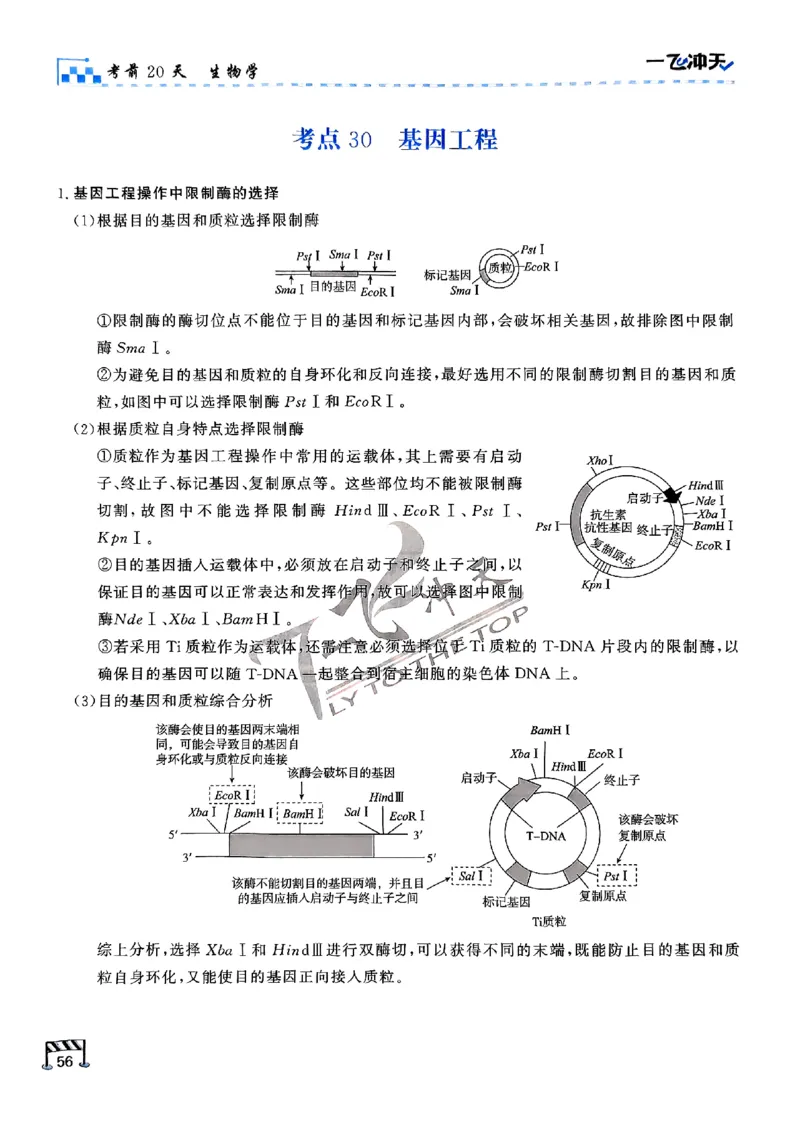 2025《一飞冲天&bull;高考抢分卷》生物考前20天_2025高中教辅（后续还会更新新习题试卷）_《一飞冲天高考抢分卷》2025版