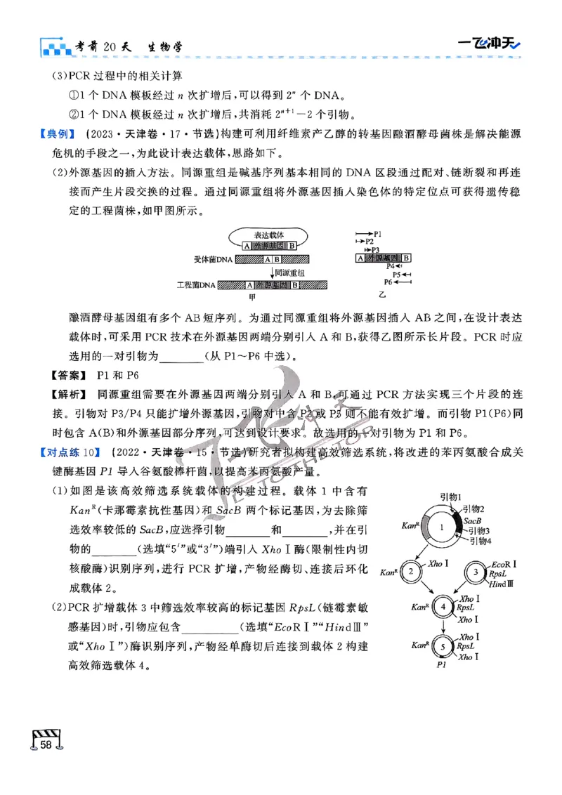2025《一飞冲天&bull;高考抢分卷》生物考前20天_2025高中教辅（后续还会更新新习题试卷）_《一飞冲天高考抢分卷》2025版