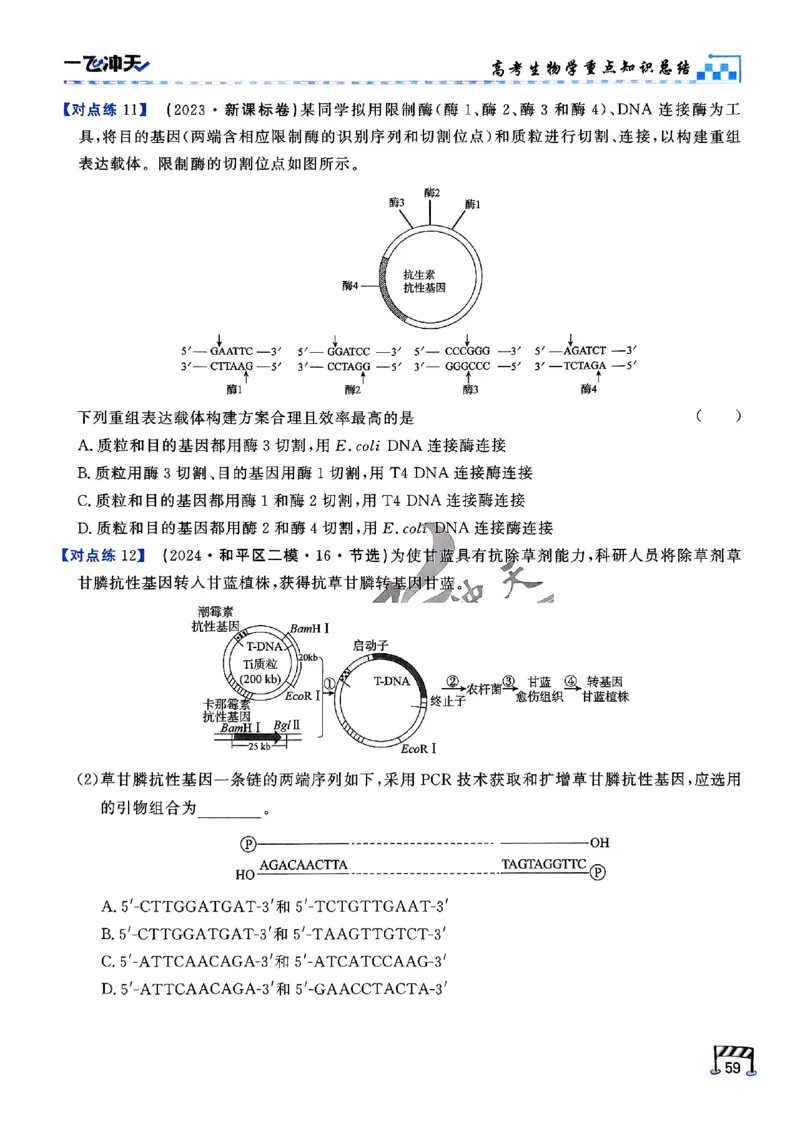 2025《一飞冲天&bull;高考抢分卷》生物考前20天_2025高中教辅（后续还会更新新习题试卷）_《一飞冲天高考抢分卷》2025版