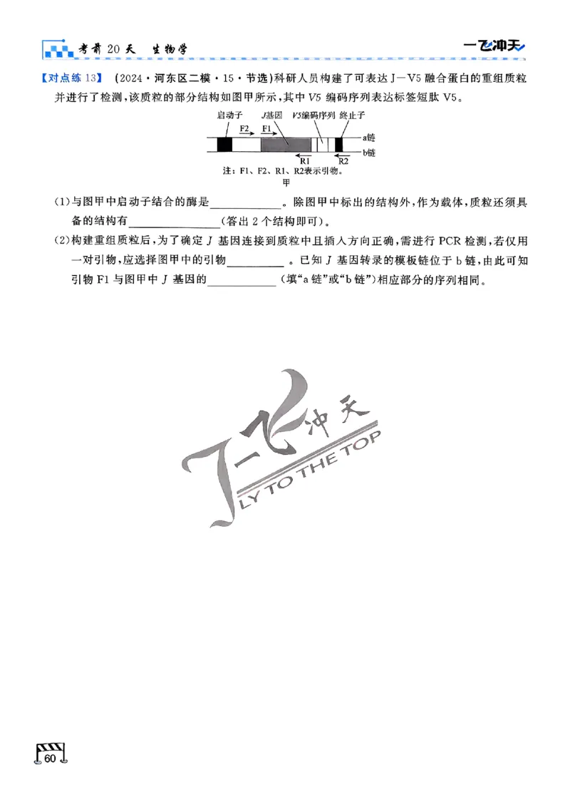 2025《一飞冲天&bull;高考抢分卷》生物考前20天_2025高中教辅（后续还会更新新习题试卷）_《一飞冲天高考抢分卷》2025版
