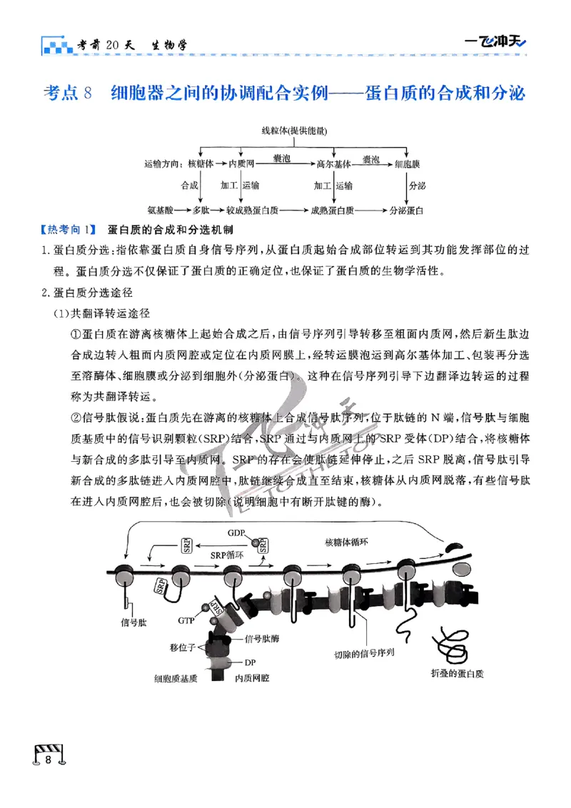 2025《一飞冲天&bull;高考抢分卷》生物考前20天_2025高中教辅（后续还会更新新习题试卷）_《一飞冲天高考抢分卷》2025版