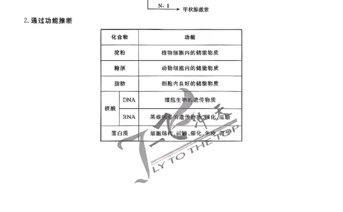 2025《一飞冲天&bull;高考抢分卷》生物考前20天_2025高中教辅（后续还会更新新习题试卷）_《一飞冲天高考抢分卷》2025版