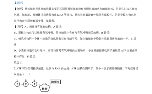 2024年高考生物试卷（全国甲卷）（解析卷）_生物历年高考真题_新&middot;PDF版2008-2025&middot;高考生物真题_生物（按年份分类）2008-2025_2024&middot;高考生物真题