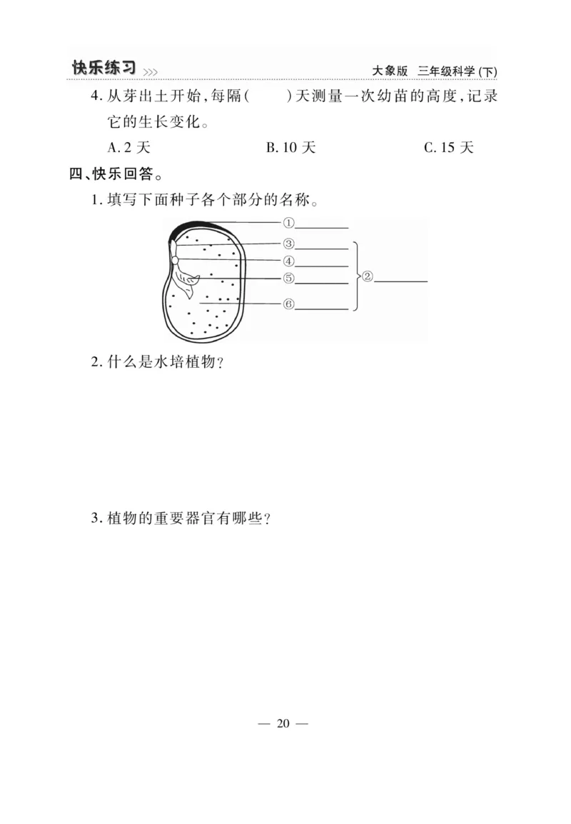 《快乐练习》科学3年级下册（大象版）_三年级上下册资料_小学三年级学习资料-25年更新版_3-10、小学三年级科学下册_大象版_电子册类