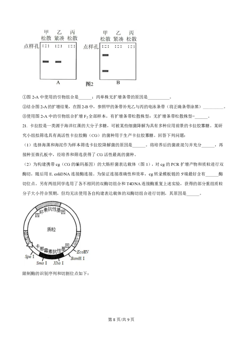 2025年高考生物试卷（河南卷）（空白卷）_生物历年高考真题_新&middot;PDF版2008-2025&middot;高考生物真题_生物（按年份分类）2008-2025_2025&middot;高考生物真题