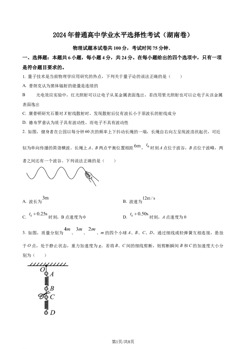 2024年高考物理试卷（湖南）（空白卷）_物理历年高考真题_新&middot;Word版2008-2025&middot;高考物理真题_物理（按年份分类）2008-2025_2024&middot;高考物理真题