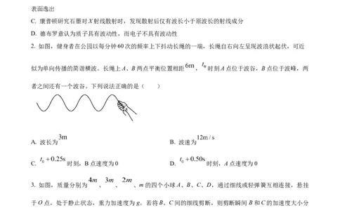 2024年高考物理试卷（湖南）（空白卷）_物理历年高考真题_新&middot;Word版2008-2025&middot;高考物理真题_物理（按年份分类）2008-2025_2024&middot;高考物理真题