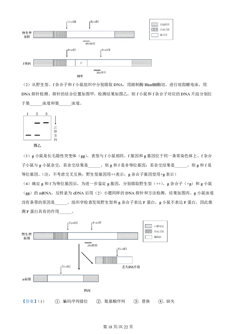 2024年高考生物试卷（浙江）（1月）（解析卷）_生物历年高考真题_新&middot;PDF版2008-2025&middot;高考生物真题_生物（按年份分类）2008-2025_2024&middot;高考生物真题