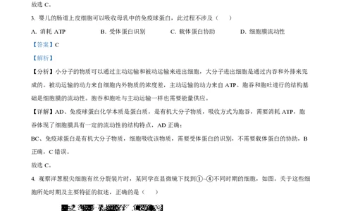 2024年高考生物试卷（浙江）（1月）（解析卷）_生物历年高考真题_新&middot;PDF版2008-2025&middot;高考生物真题_生物（按年份分类）2008-2025_2024&middot;高考生物真题