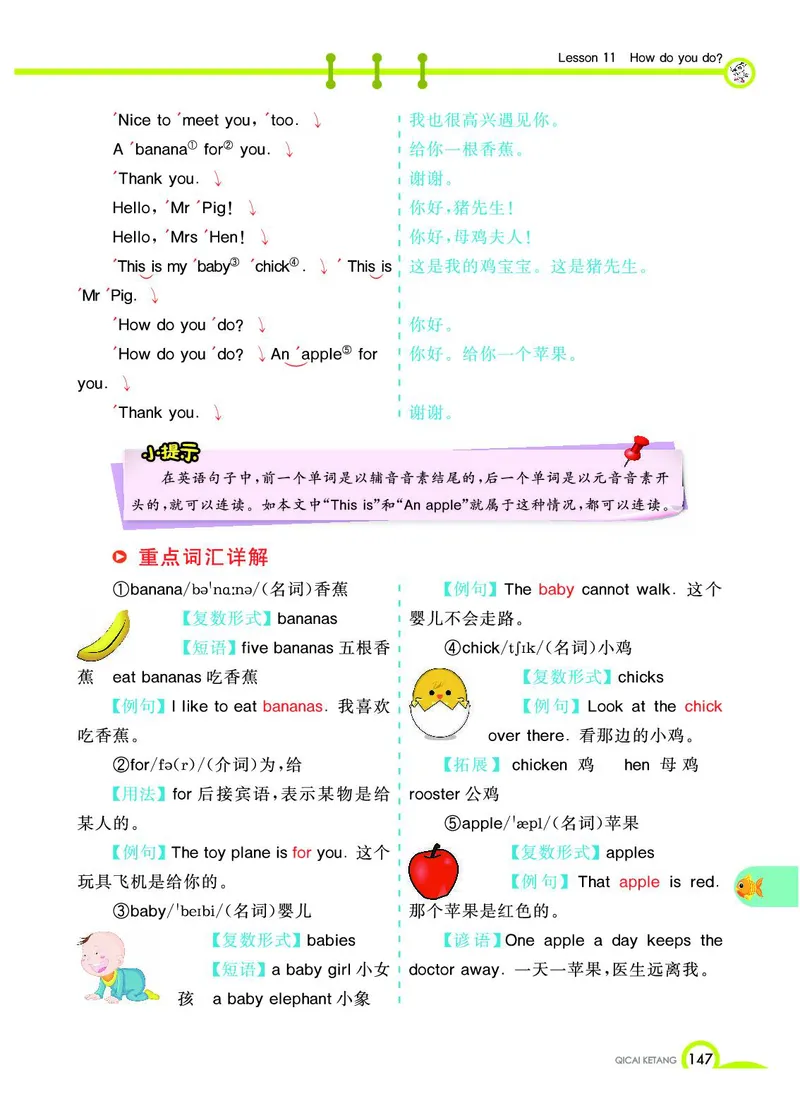 《教材全解》英语3年级上册（KP）_三年级上下册资料_小学三年级学习资料-25年更新版_3-05、小学三年级英语上册_3-5-1、知识点、测试卷、电子书_科普版