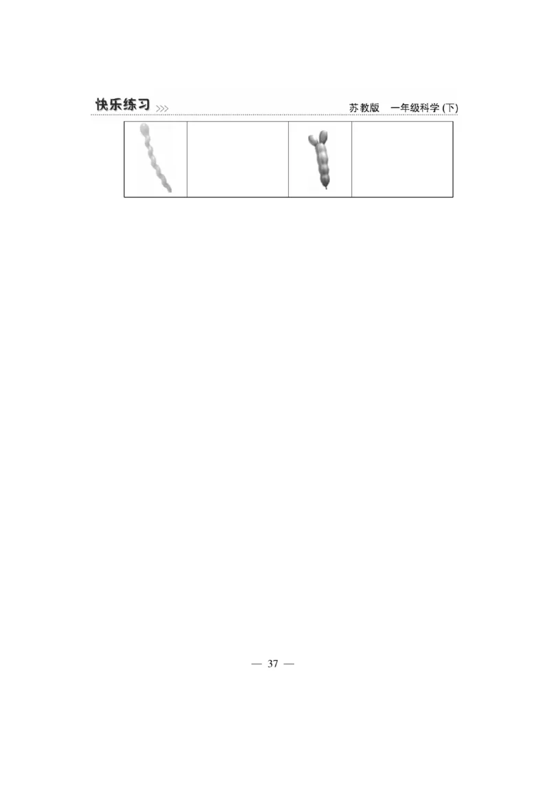 《快乐练习》科学1年级下册（苏教版）_一年级上下册资料_小学一年级学习资料-25年更新版_1-10、小学一年级科学下册_苏教版
