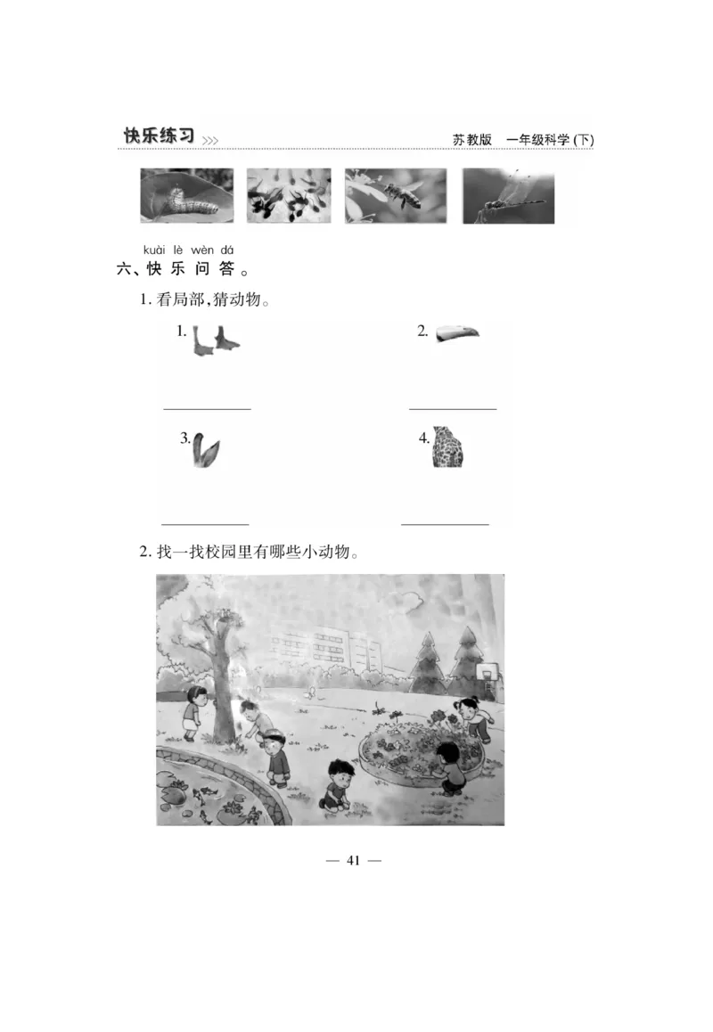 《快乐练习》科学1年级下册（苏教版）_一年级上下册资料_小学一年级学习资料-25年更新版_1-10、小学一年级科学下册_苏教版