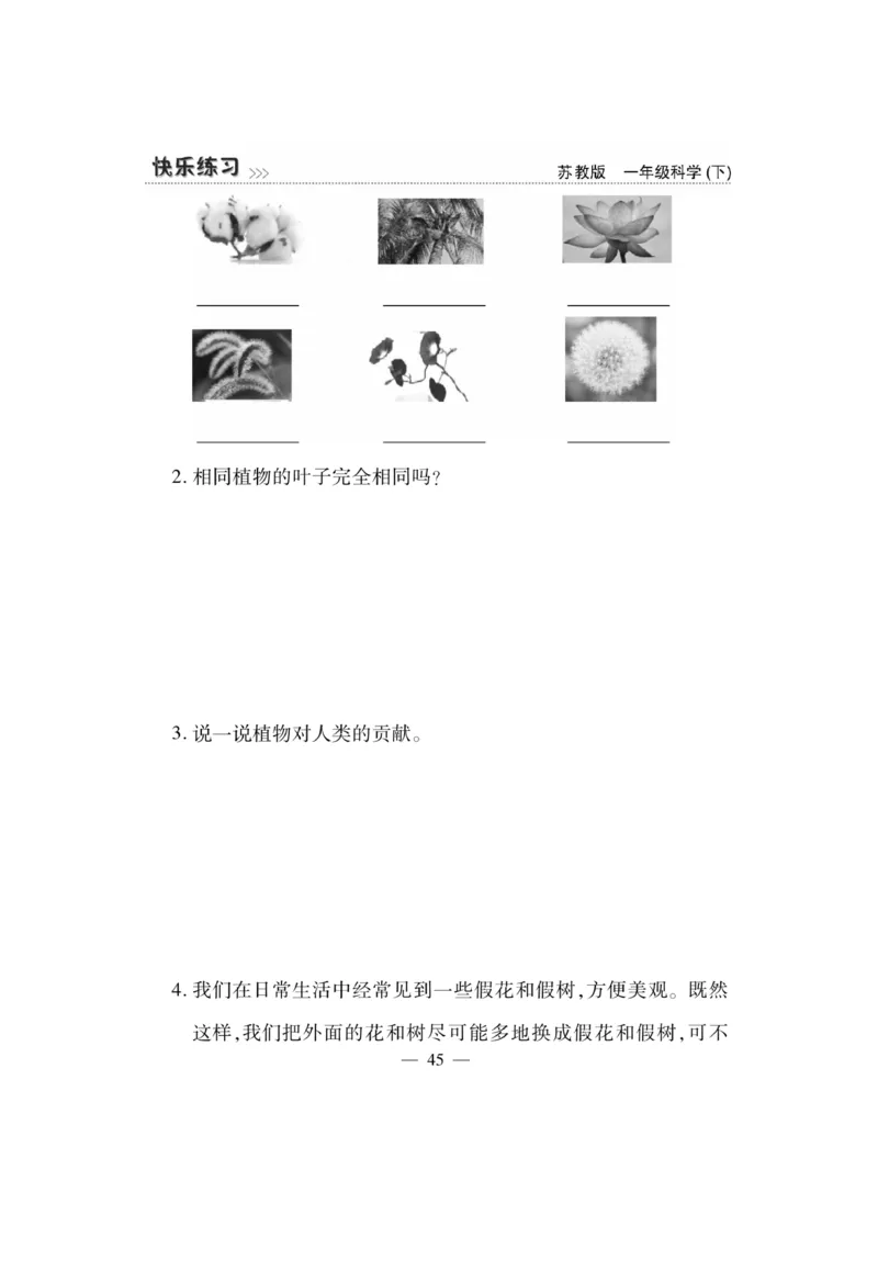 《快乐练习》科学1年级下册（苏教版）_一年级上下册资料_小学一年级学习资料-25年更新版_1-10、小学一年级科学下册_苏教版