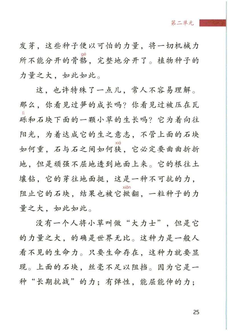 《晨诵暮读》4年级-上_一年级上下册资料_小学一年级学习资料-25年更新版_1-00、幼小衔接_幼小衔接每日晨读篇_1-5年级晨读读物_《晨诵暮读》1-6年级上下册