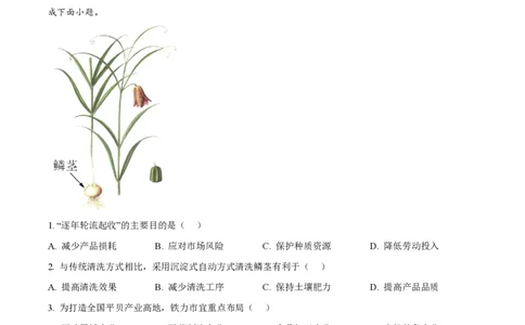 2024年高考地理试卷（山东）（解析卷）_地理历年高考真题_新&middot;PDF版2008-2025&middot;高考地理真题_地理（按年份分类）2008-2025_2024&middot;地理高考真题