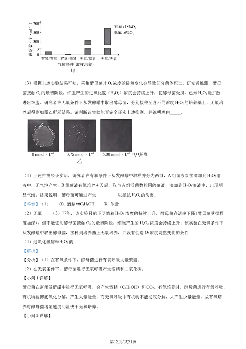 2024年高考生物试卷（北京）（解析卷）_生物历年高考真题_新&middot;Word版2008-2025&middot;高考生物真题_生物（按年份分类）2008-2025_2024&middot;高考生物真题