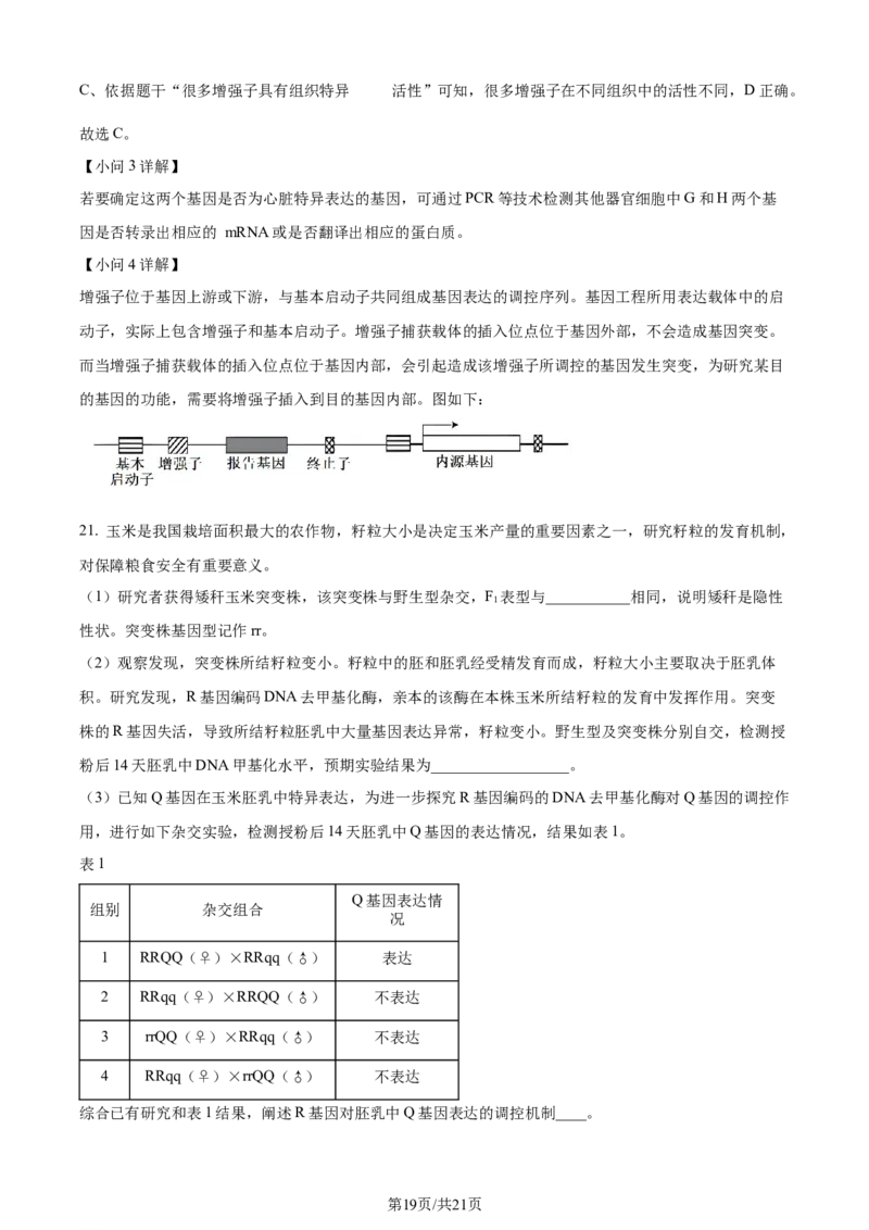 2024年高考生物试卷（北京）（解析卷）_生物历年高考真题_新&middot;Word版2008-2025&middot;高考生物真题_生物（按年份分类）2008-2025_2024&middot;高考生物真题