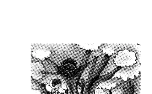 跟我学写话（想象类5篇）_一年级语文下册（统编版）_老课标资料_写话课件_一下语文-写话课件与范文_跟我学写话分类指导