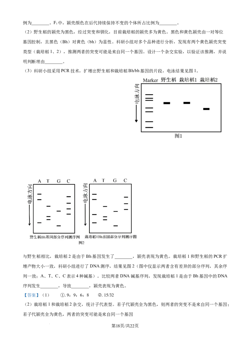 2025年高考生物试卷（安徽卷）（解析卷）_生物历年高考真题_新&middot;Word版2008-2025&middot;高考生物真题_生物（按年份分类）2008-2025_2025&middot;高考生物真题