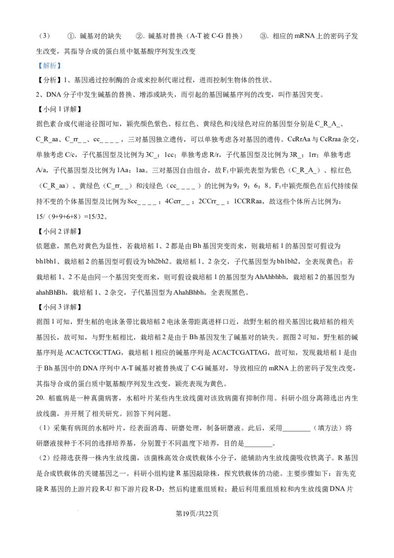 2025年高考生物试卷（安徽卷）（解析卷）_生物历年高考真题_新&middot;Word版2008-2025&middot;高考生物真题_生物（按年份分类）2008-2025_2025&middot;高考生物真题