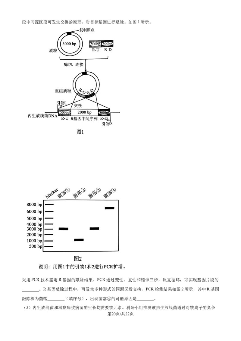 2025年高考生物试卷（安徽卷）（解析卷）_生物历年高考真题_新&middot;Word版2008-2025&middot;高考生物真题_生物（按年份分类）2008-2025_2025&middot;高考生物真题