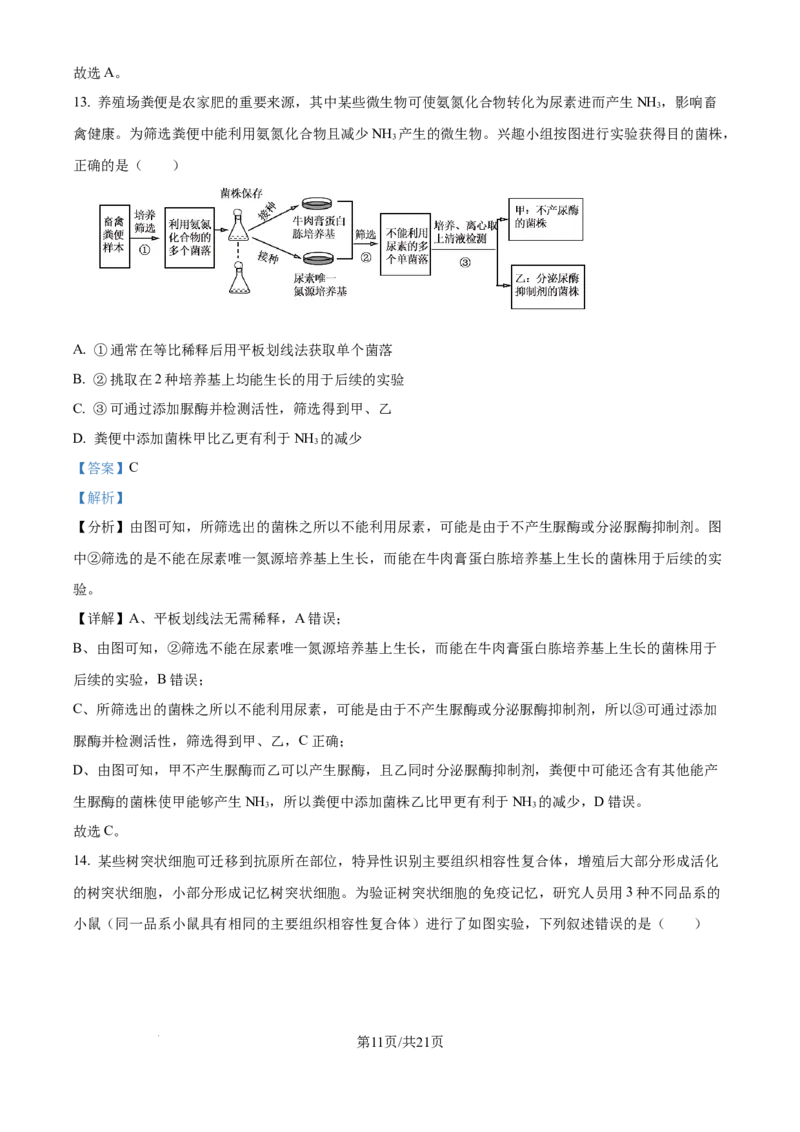 2024年高考生物试卷（重庆）（解析卷）_生物历年高考真题_新&middot;Word版2008-2025&middot;高考生物真题_生物（按年份分类）2008-2025_2024&middot;高考生物真题