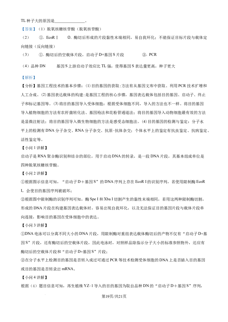 2024年高考生物试卷（重庆）（解析卷）_生物历年高考真题_新&middot;Word版2008-2025&middot;高考生物真题_生物（按年份分类）2008-2025_2024&middot;高考生物真题