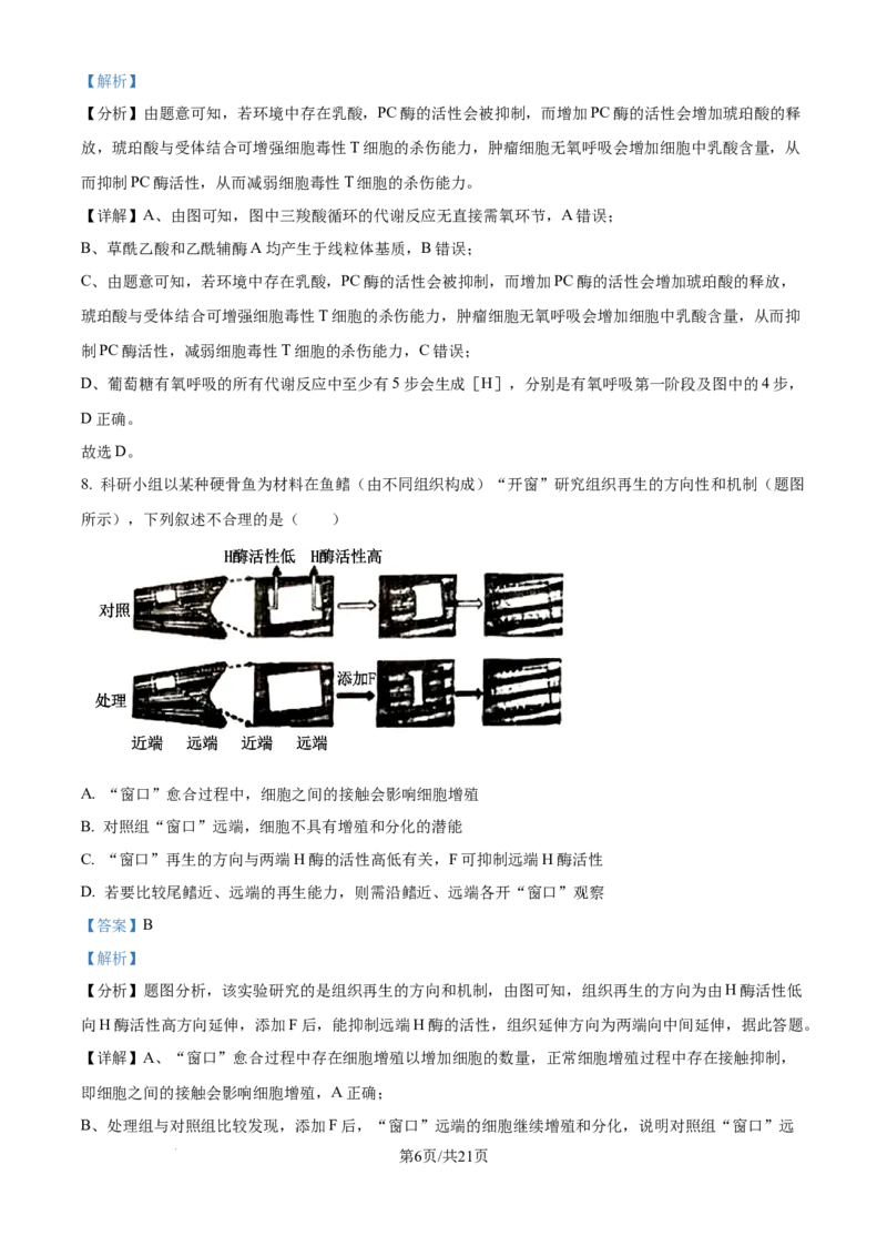 2024年高考生物试卷（重庆）（解析卷）_生物历年高考真题_新&middot;Word版2008-2025&middot;高考生物真题_生物（按年份分类）2008-2025_2024&middot;高考生物真题