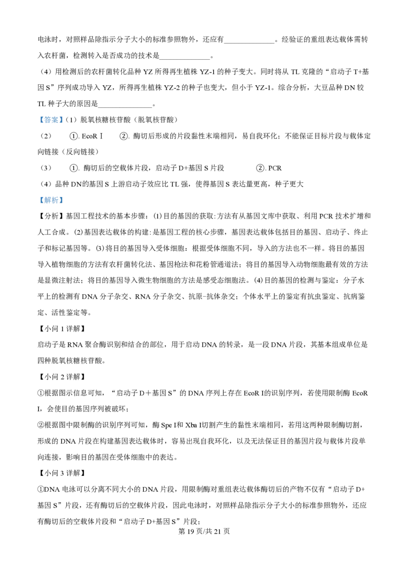 2024年高考生物试卷（重庆）（解析卷）_生物历年高考真题_新&middot;PDF版2008-2025&middot;高考生物真题_生物（按年份分类）2008-2025_2024&middot;高考生物真题