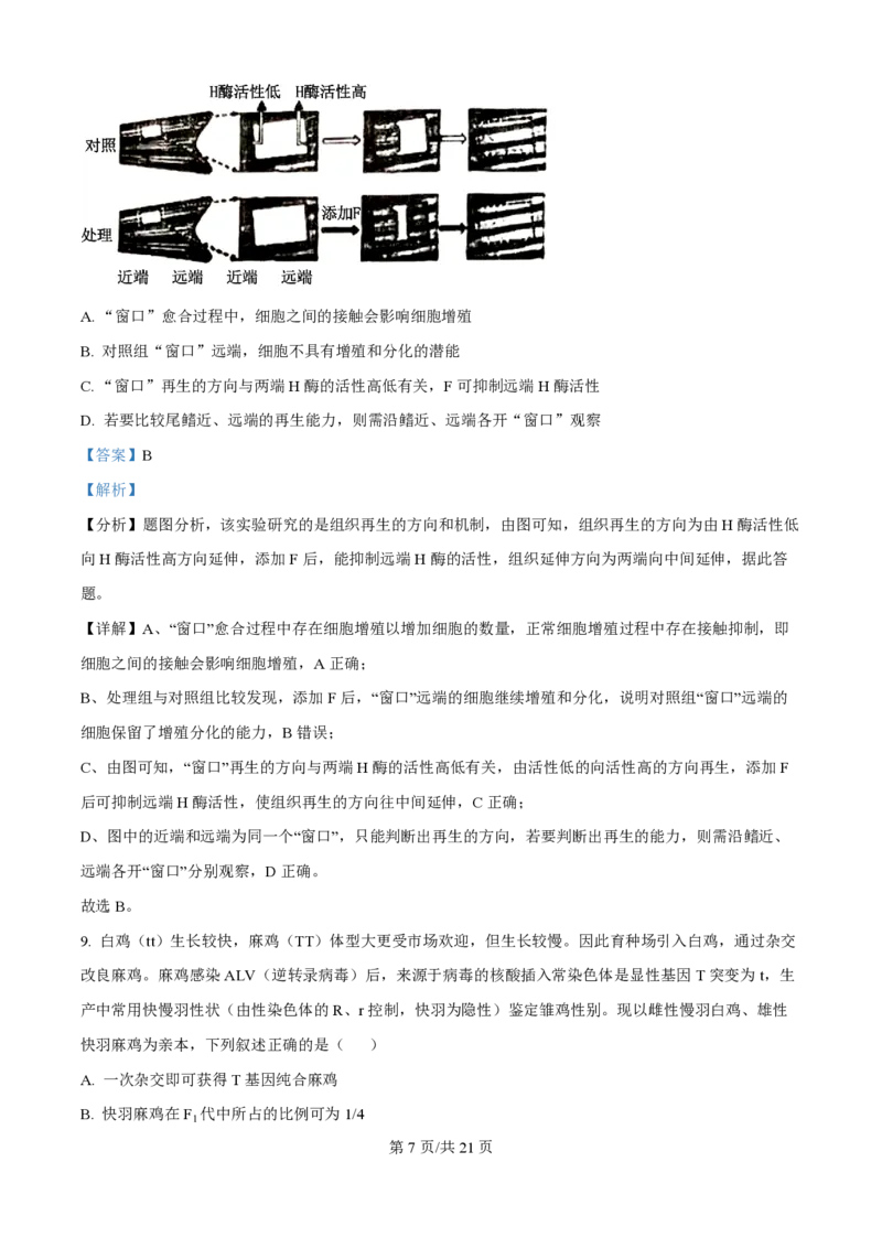 2024年高考生物试卷（重庆）（解析卷）_生物历年高考真题_新&middot;PDF版2008-2025&middot;高考生物真题_生物（按年份分类）2008-2025_2024&middot;高考生物真题