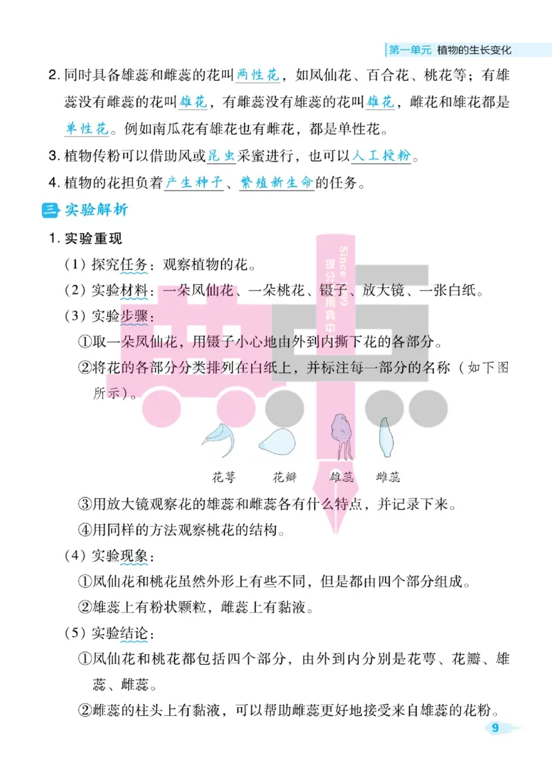 23春典中点四年级科学下(JK版)_2024年人教版小学数学一二三四五六年级上册下册期中期末试a0747_小学全科《同步练习+精品试卷》打包下载（1-6年级单元月考期中期末试卷）_小学科学