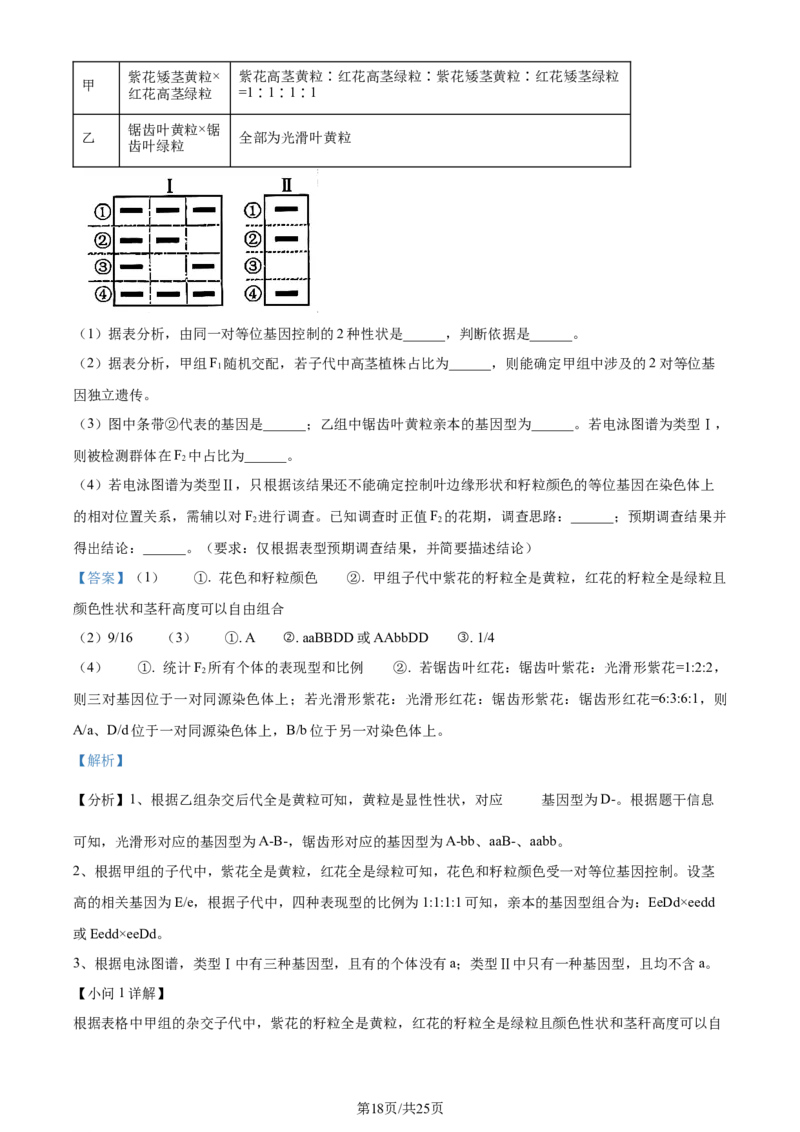 2024年高考生物试卷（山东）（解析卷）_生物历年高考真题_新&middot;Word版2008-2025&middot;高考生物真题_生物（按年份分类）2008-2025_2024&middot;高考生物真题