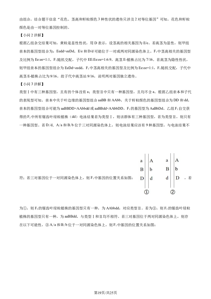 2024年高考生物试卷（山东）（解析卷）_生物历年高考真题_新&middot;Word版2008-2025&middot;高考生物真题_生物（按年份分类）2008-2025_2024&middot;高考生物真题