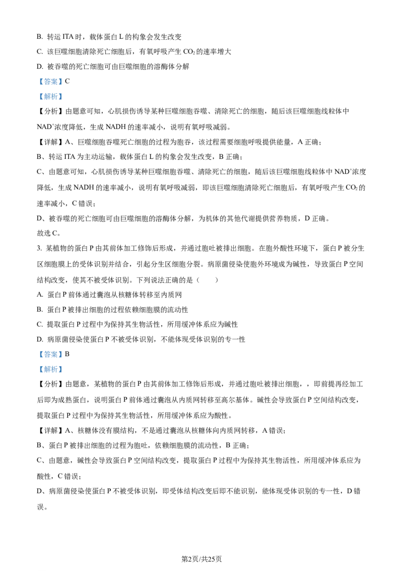 2024年高考生物试卷（山东）（解析卷）_生物历年高考真题_新&middot;Word版2008-2025&middot;高考生物真题_生物（按年份分类）2008-2025_2024&middot;高考生物真题