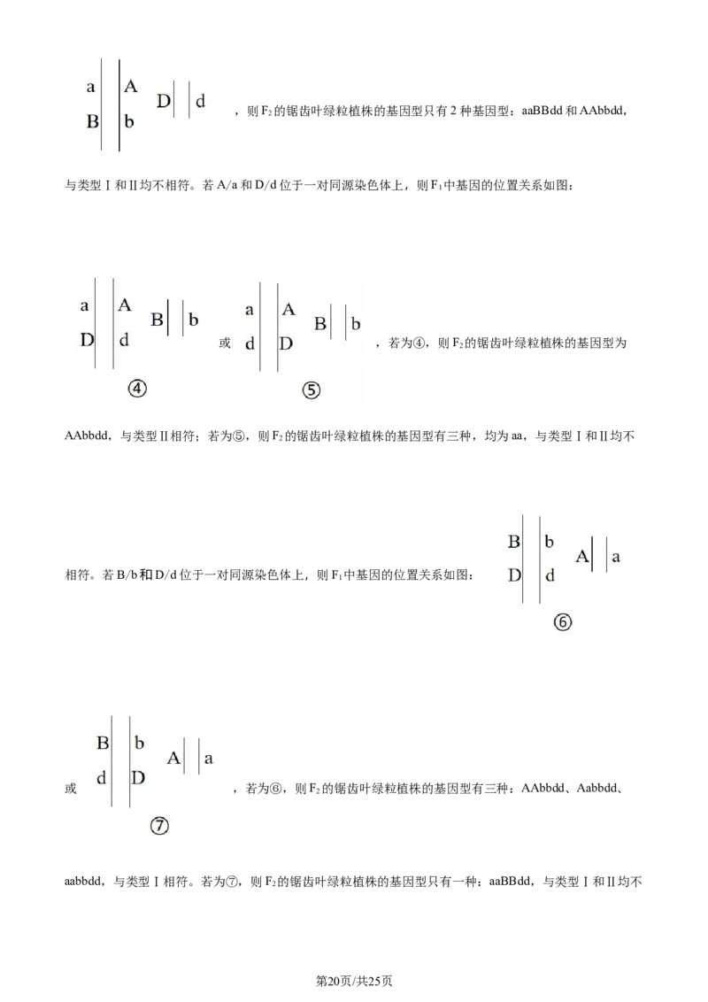 2024年高考生物试卷（山东）（解析卷）_生物历年高考真题_新&middot;Word版2008-2025&middot;高考生物真题_生物（按年份分类）2008-2025_2024&middot;高考生物真题